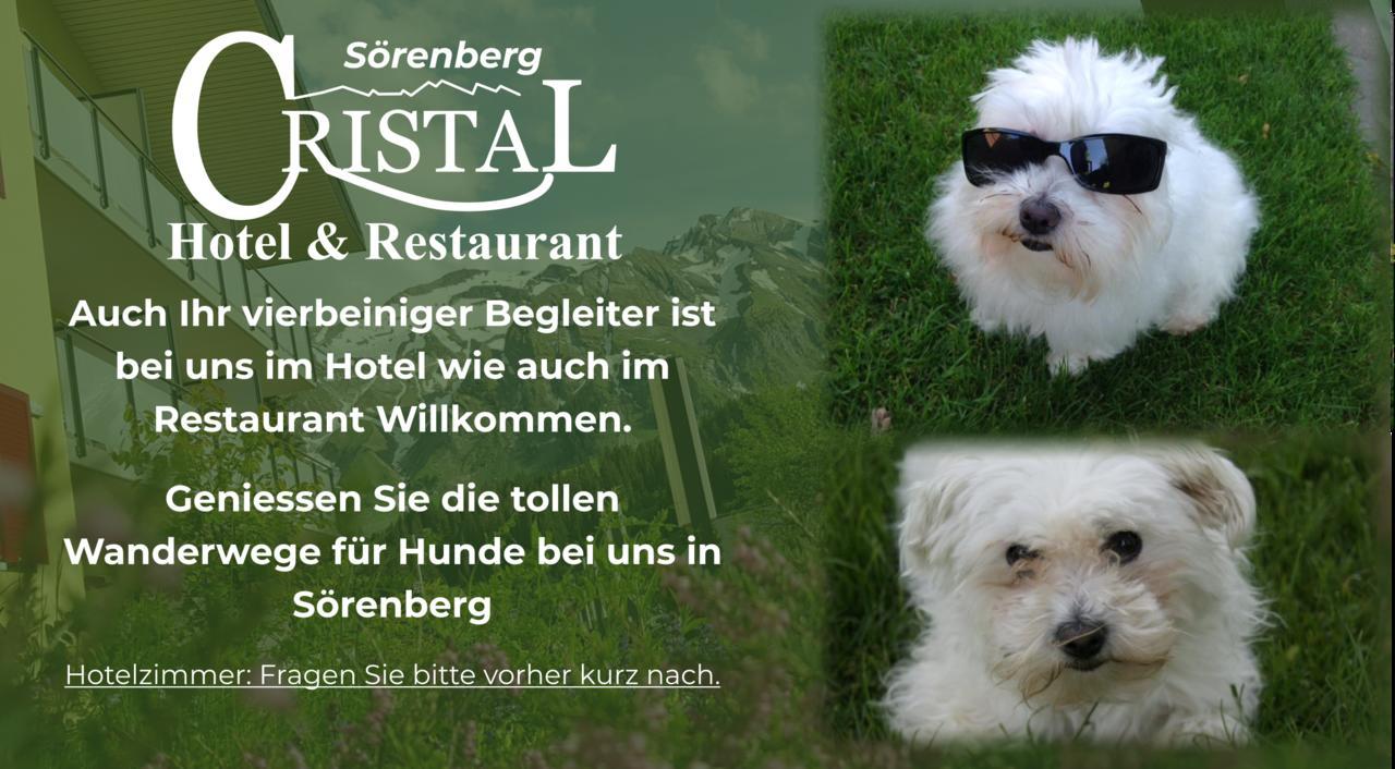 Hotel Cristal Soerenberg Экстерьер фото